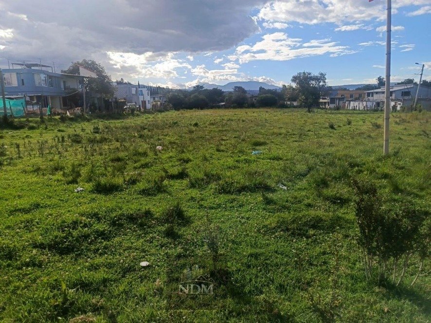 WhatsApp Image 2026-03-16 at 4.08.19 PM